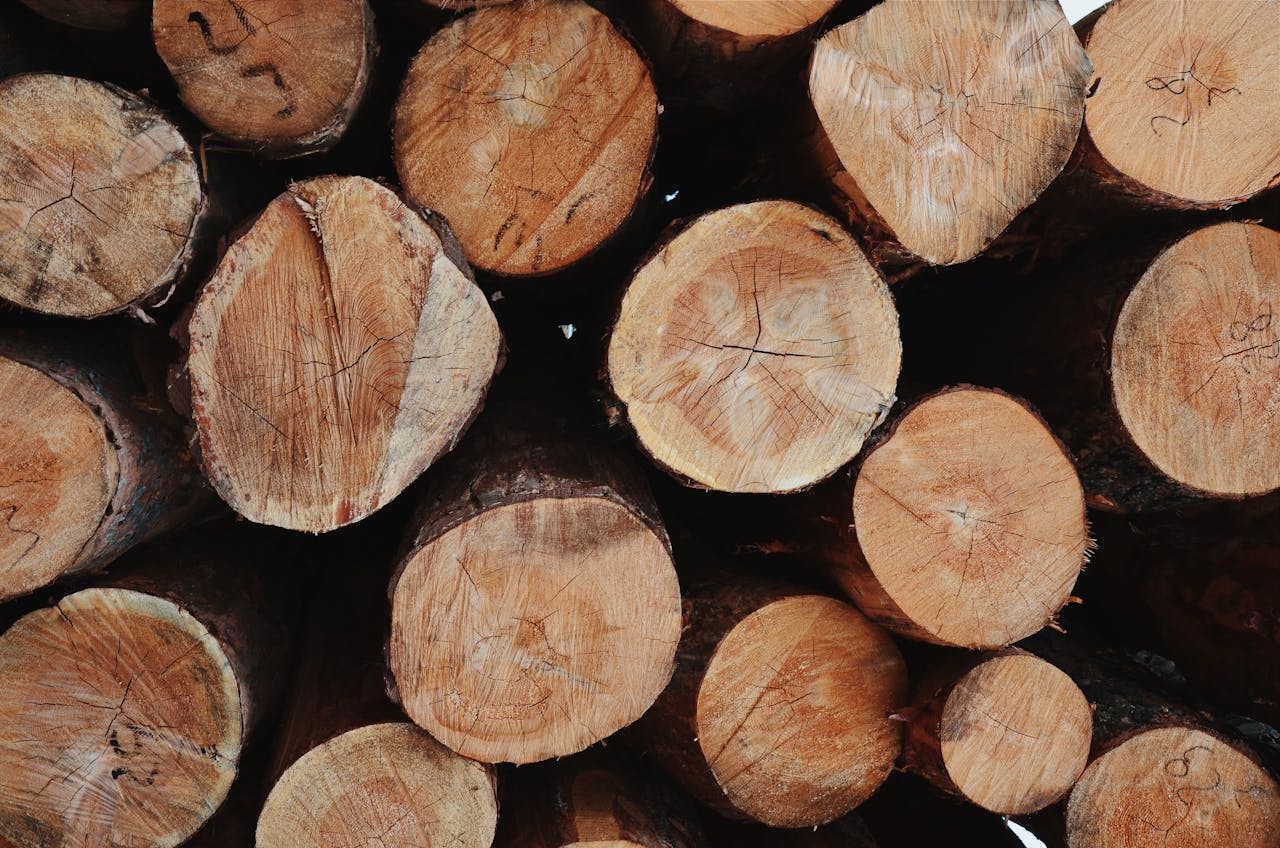 Close-up image of a neatly stacked pile of freshly cut logs, ideal for firewood.